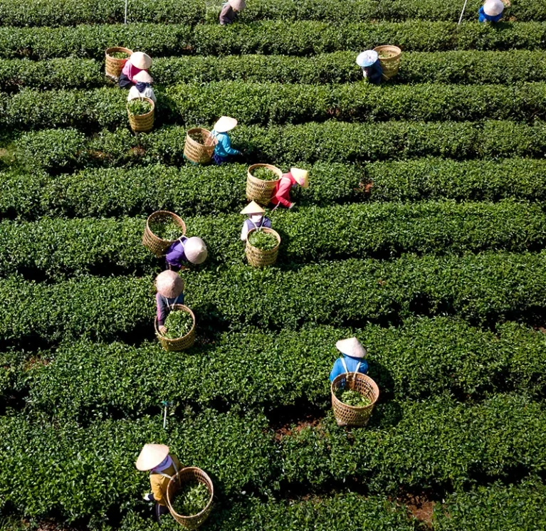 Farmer & Partner Program
