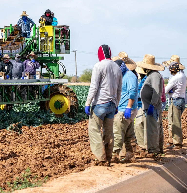 Farmer & Partner Program