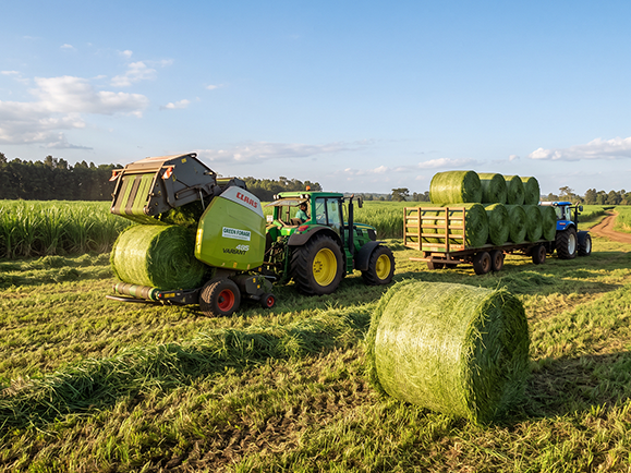 Home